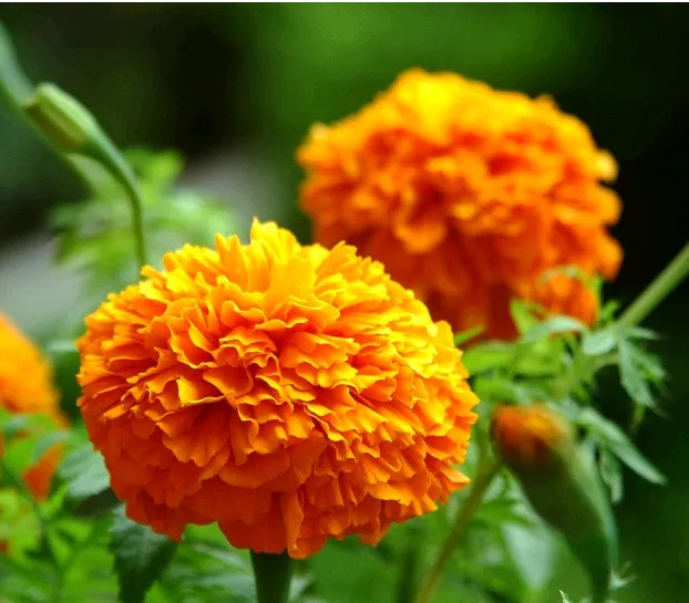 ҵ΢Žͼ_1662601414662