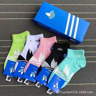 �ļ����ɫad���~�ݺ��b��Ů��Ͳ�\�Ӱ����m���b��H�\����Ͳ�m��