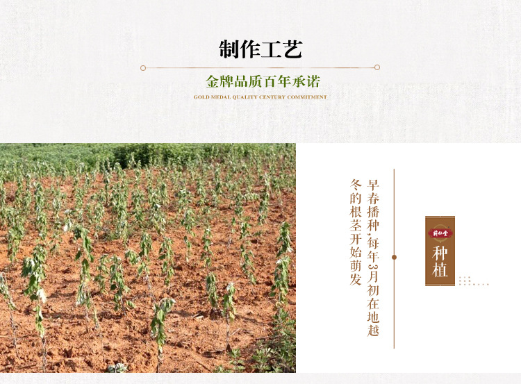 Dried Mugwort Leaf Ai Ye 250g Bag Qichun Wormwood for Moxa and Herbal Use in use