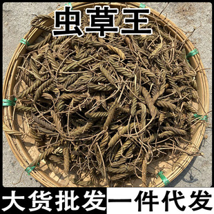 �x���� ������ ���x���� �����mϪ�� �����x�������l ����ă�