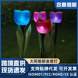 草坪灯;太阳能灯;埋地灯