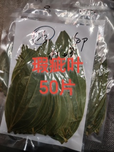 Special Peace Leaves for Leaf Carving, Dried Leaf Specimens!