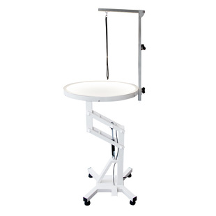 LED luminous table pet beauty table air pressure lifting rotatable cat Teddy shearing beauty table cross-border export