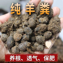 ����S���w���ЙC�l�͸�����S���B���N�ˠI�B���r�ҷ�ͨ�ßo��ζ