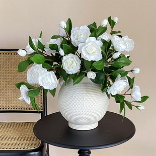 ��֧���滨�d�ӻ������͏d���ҼҾ��b����ٻ��Ĕz���ߔzӰ����