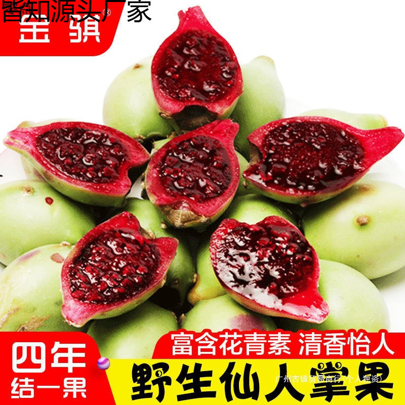 海南三亚新鲜红心仙人掌果实仙桃应当季热带稀奇古怪饮品水果