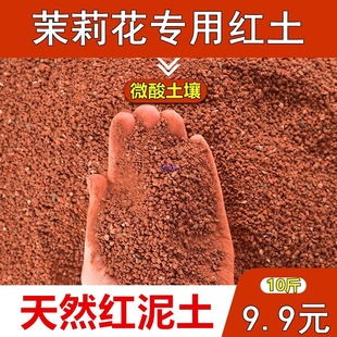 ���������t��΢�������Ի���ֱ���FԪ���S���t���������辰