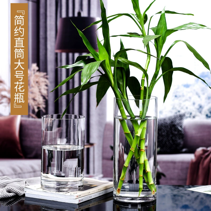 Прозрачная стеклянная ваза бытовая украшение столешница гостиная богатая бамбуковая цветочная вода пол гидропонное растение большой размер