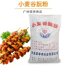 廣州批發供應  小麥谷朊粉 食品級  面筋粉