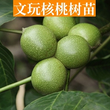 ������Ҙ��義�������Ը���^�T�������ǰת{���^���d�䮔�����l