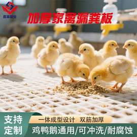 嘉莱批发鸭用塑料漏粪地板 鸡鸭鹅漏粪板网片 鸭舍养殖鸡用接粪板