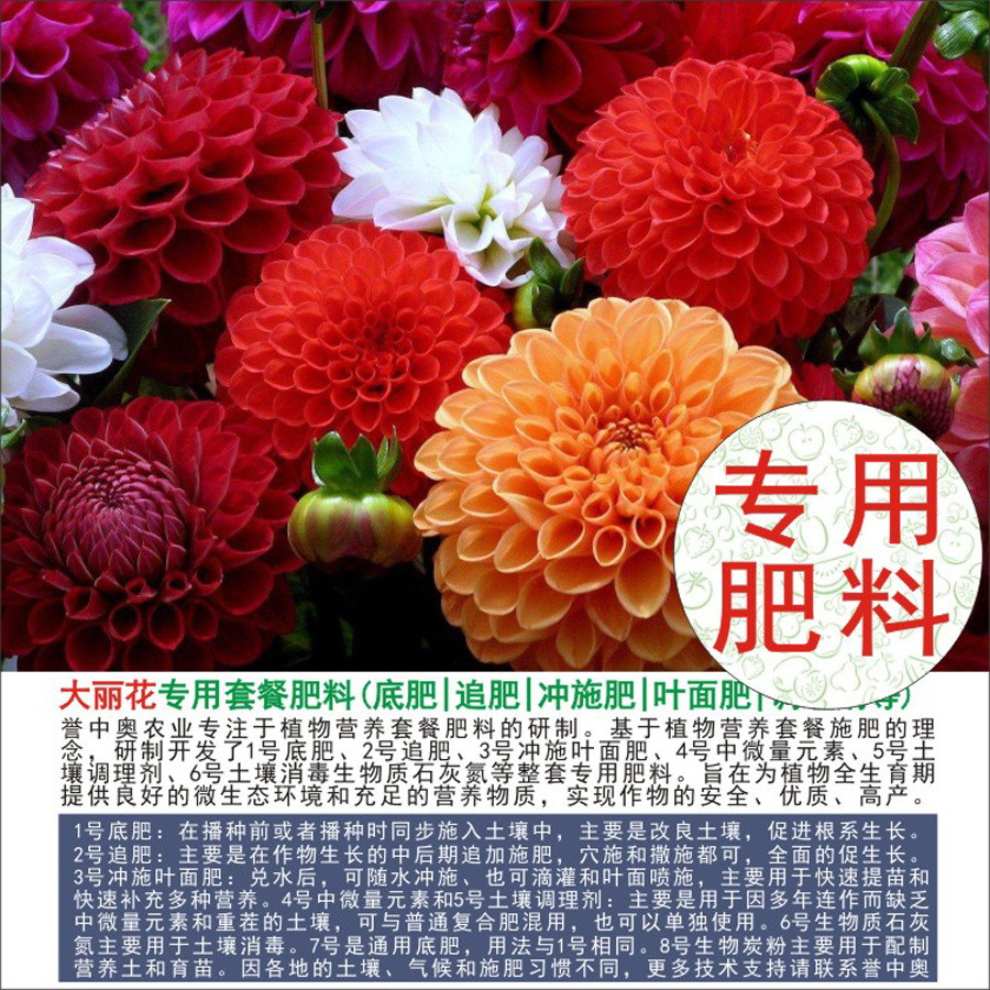 1-50斤誉中奥大丽花专用有机肥复合肥底肥追肥叶面肥冲施肥水溶肥