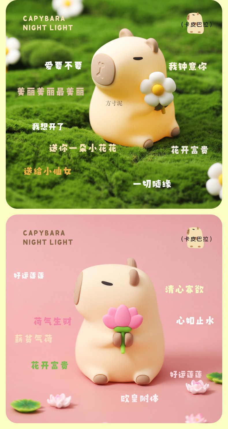 e54eb7b1-c4e7-467f-a8d3-99d135666c81.jpe