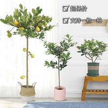 ߗUˮʘǙʘԴ;GֲļY҃ͥԺ̨