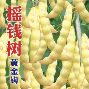�u�X���S���h���ǷN�ӹ����S���Ͷ��Ķ��涹�����Ӵ�ܲ˶��ǲ���