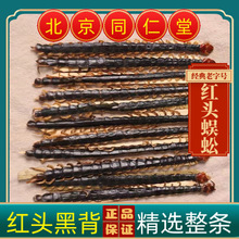 热卖蜈蚣蜈蚣红头蜈蚣干大蜈蚣虫体完整大蜈蚣干整条真货好货