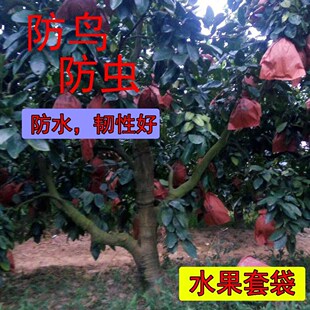 �����x���o��ˮ�����ϰ��b������������״��׹���������