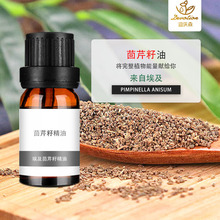 ���������Ѿ���С������Fennel oil������ֲ��η�����ԭ�����l