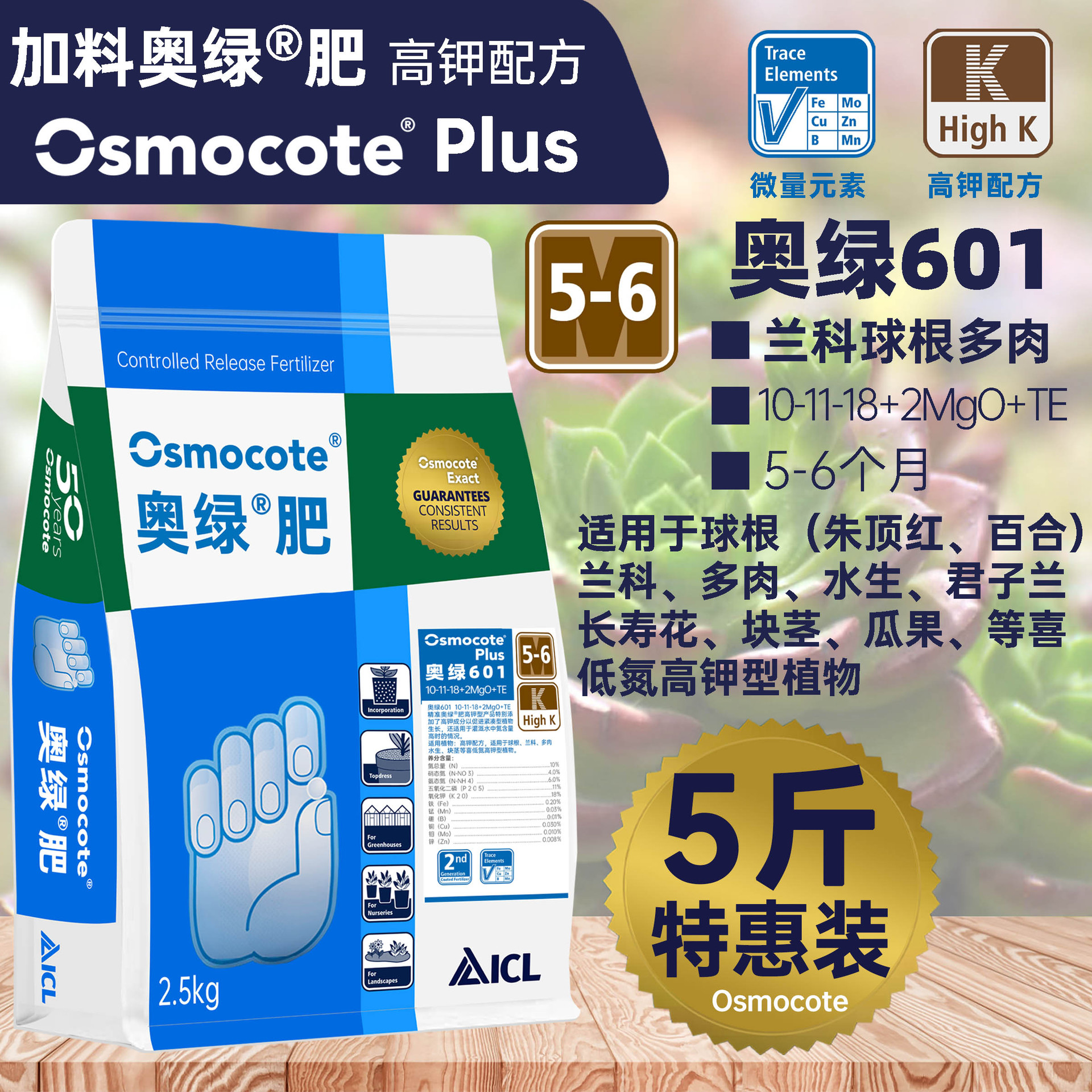 Aolu 601(5kg 스페셜)