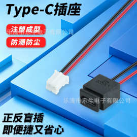 PH2.0 端子款 Type‑C009 母座 卡扣安装 小家电内置充电连接器