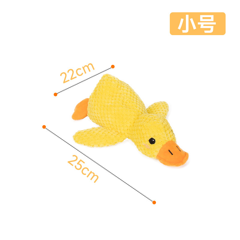 차지덕 S사이즈