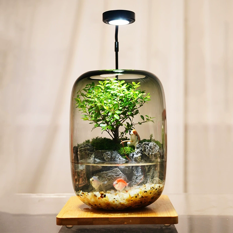 [Рыбалка с котенком] Мох Микро Ландшафт Офис Креативный Экологический Резервуар Аквариум Настольный Экологический Орнамент Бутылки Готовый Продукт