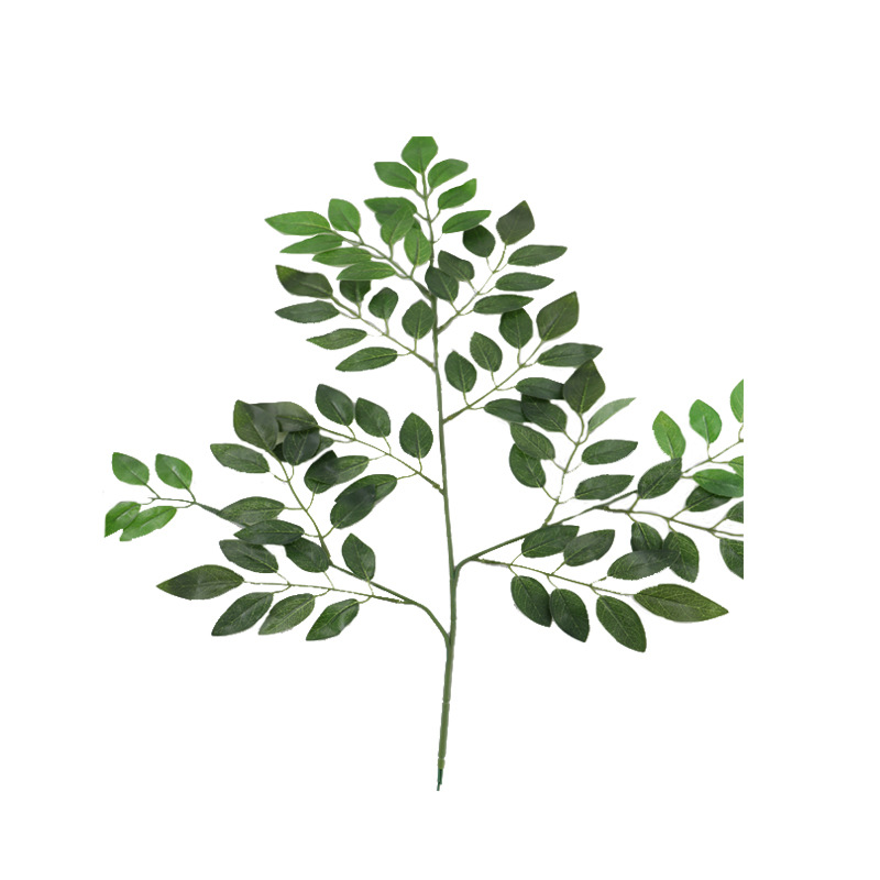 XRB-098 豆花叶三叉支 (3).jpg