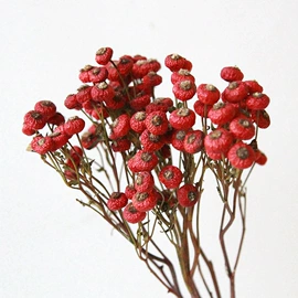 鲜花花艺制品;干花;仿真绿植