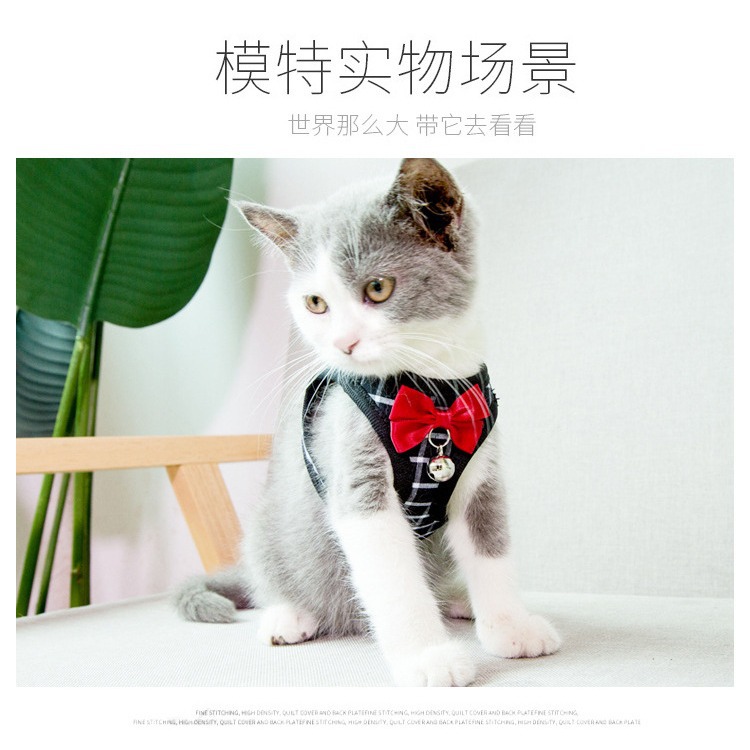 Transfronterizo especial para perro pequeño pecho Correa perro caminando gato cuerda traje gato personalidad pecho espalda tracción cuerda