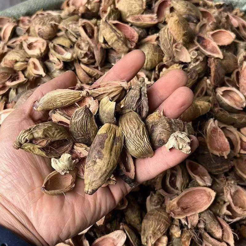 Da Fu Pi (Areca catechu Pericarp) — Dried Food Herb Peel for Tea & Soup, 500g key features