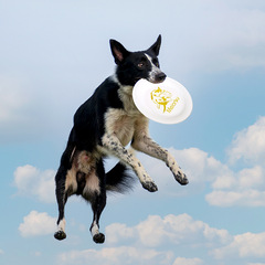 Meianju standard flying disc flying disc dog training disc professional competition disc border collie training pet supplies