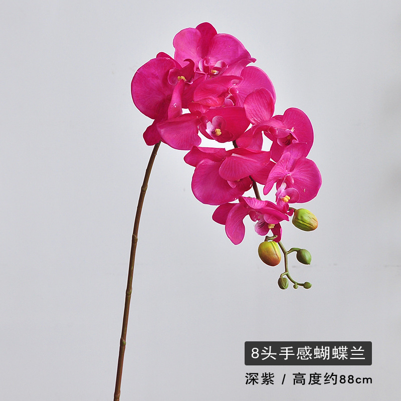 8 헤드 다크 퍼플