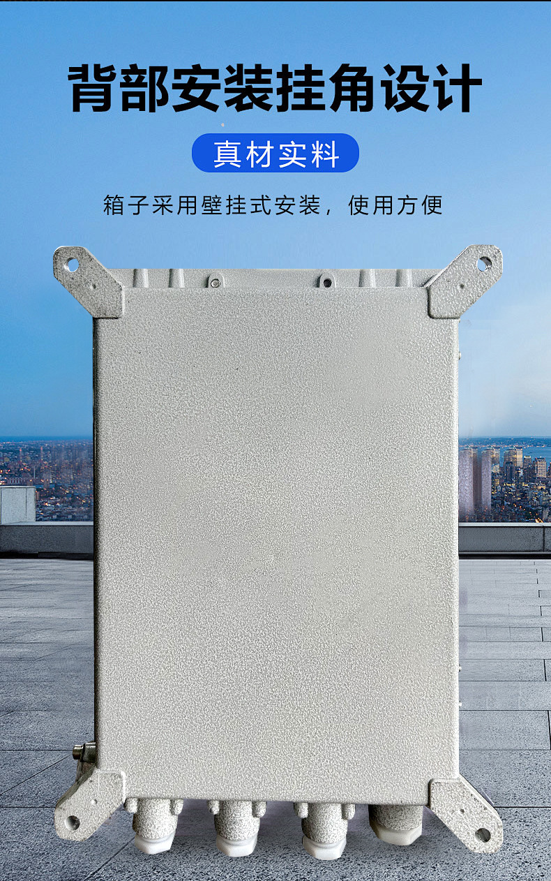 防爆配电箱详情_10