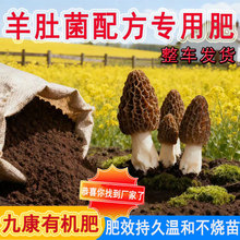 Ǿ䷽lǾЙCʳþǾ䷽