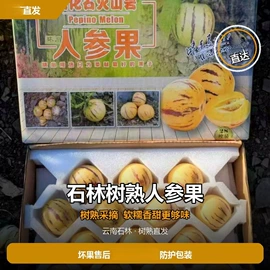 植物油;杂粮组合;传统糕点