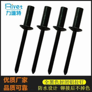 黑色封闭型铆钉 铝合金拉钉不掉色  闭口抽芯铆丁 烤漆防水铝铆钉