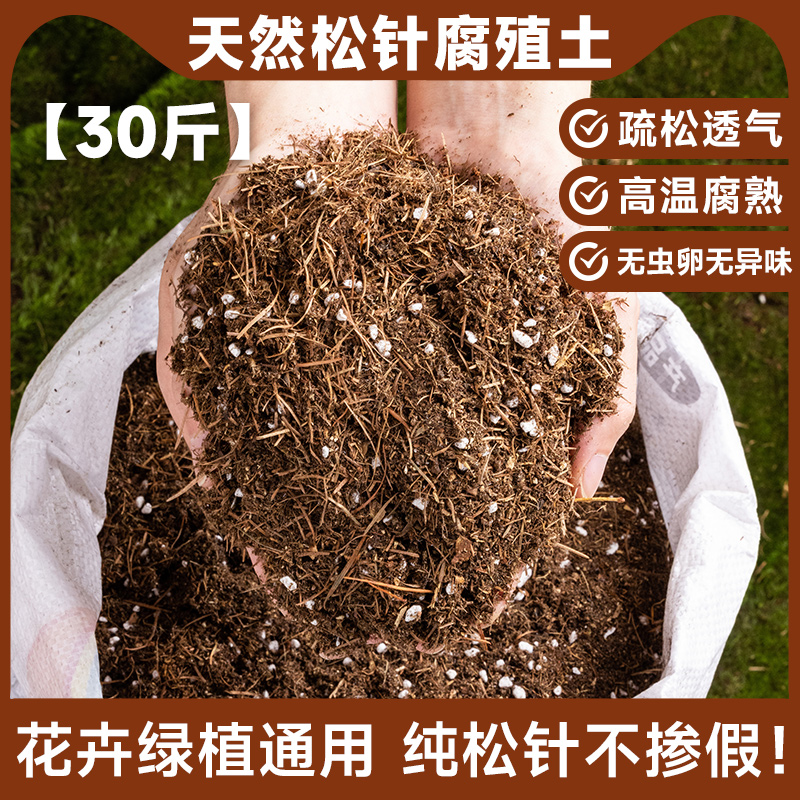 [통통하고 통기성] 천연 소나무 바늘 부식질 토양의 30 진 (오염 없는 고온 성숙)