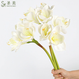 ��Ʒ�|��ʽ���滨�����m�ҾӘӰ��g�b��zӰ�������l�Ϸ���피t