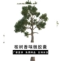 加香香味处理清新整理剂