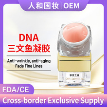 DNA�����~���zSalmonJELL�羳���QK�Ͼo�µ��y��˪�࿹��
