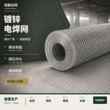镀锌电焊网铁丝网方孔焊接网养殖围栏建筑抹墙网卷厂家批发定制