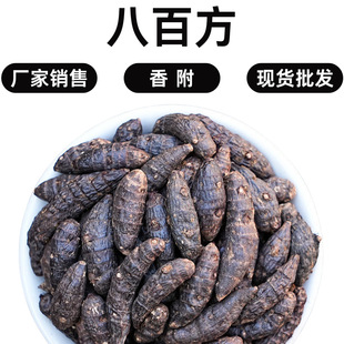 �㸽�����l��Ұ���㸽���㸽���㸶���^��ȸ�^���㸽��500g���l