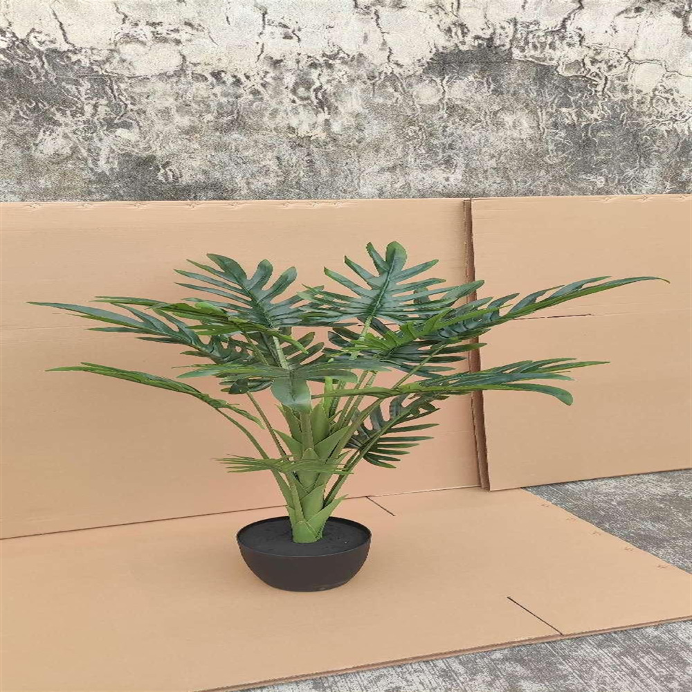 微信图片_202412311129194