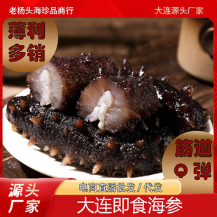 深海海参即食刺鲜活淡干海渗辽参年干货野生海生海参500g顺丰发货-阿里巴巴