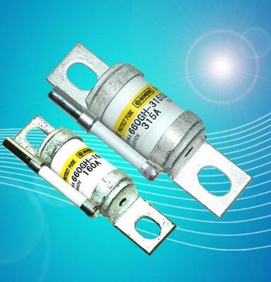 660GH-125S 660GH-160S 660GH-200S带撞针全新保险管HINODE熔断器