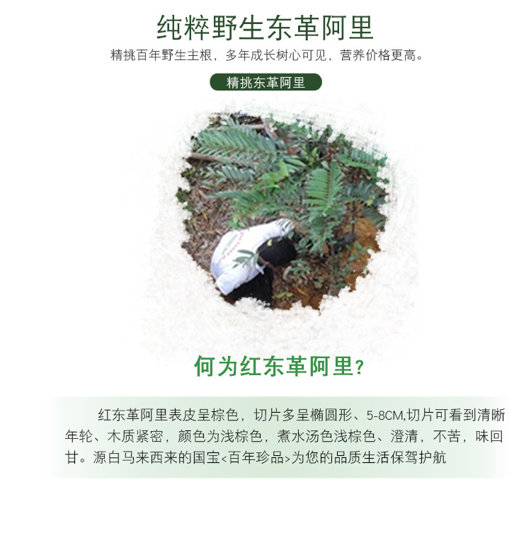 Red Tongkat Ali Slices 500g Wild Malaysian Eurycoma Longifolia Root Traditional Herbal Decoction quality and texture