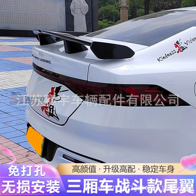 Modification Carbon Fiber Pattern — Fixed wind wing