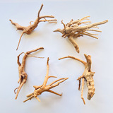 Рыба бака ландшафт Shenmu маленький корень Qi водные ландшафтные ландшафтные дерево маленькие корни корни дерева