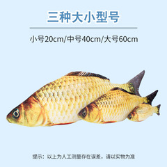 Cat Toys Fish Simulation Self-Entertaining Catnip Cat Teaser Cat Cat Teething Cat Kitten Cat Supplies Cat Toys 6