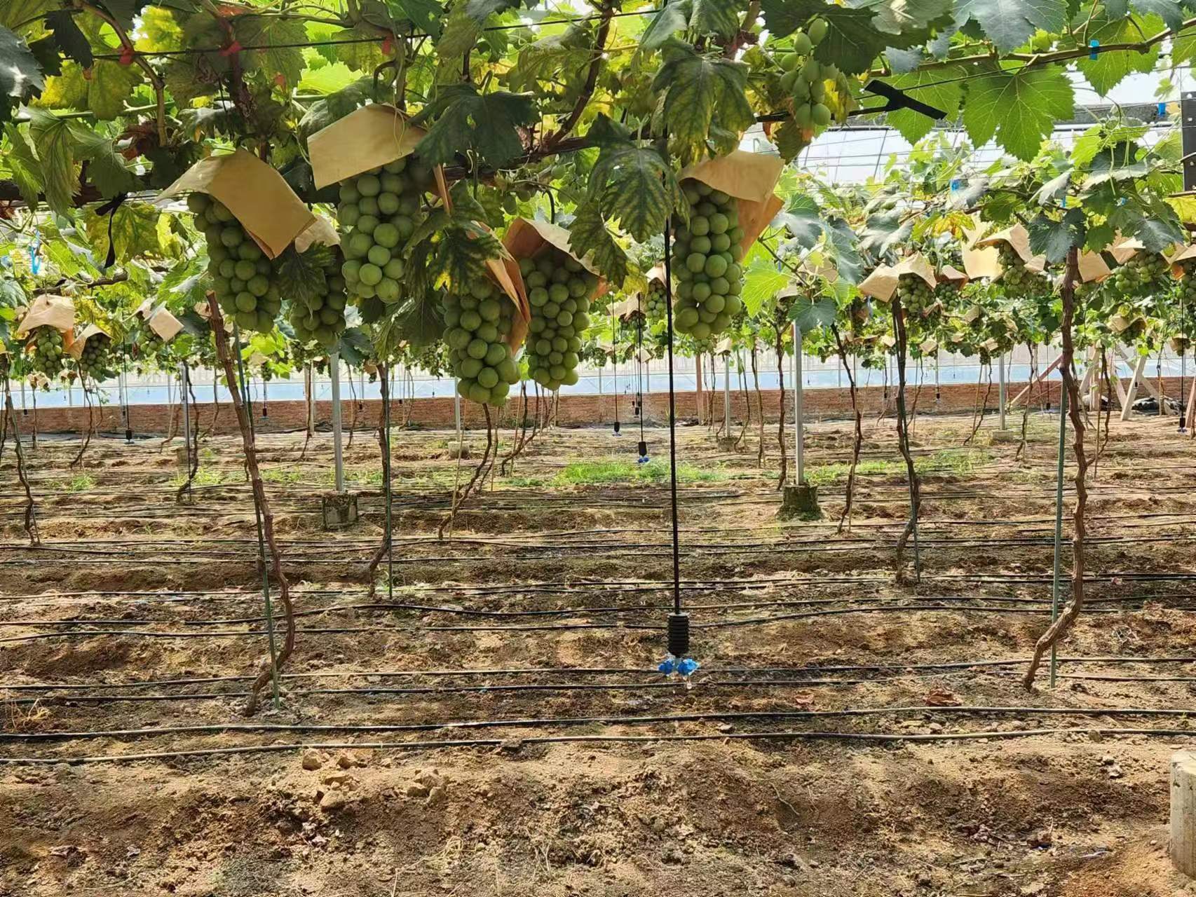 微信图片_20230716142521